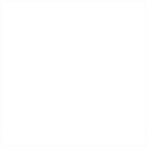 community networking